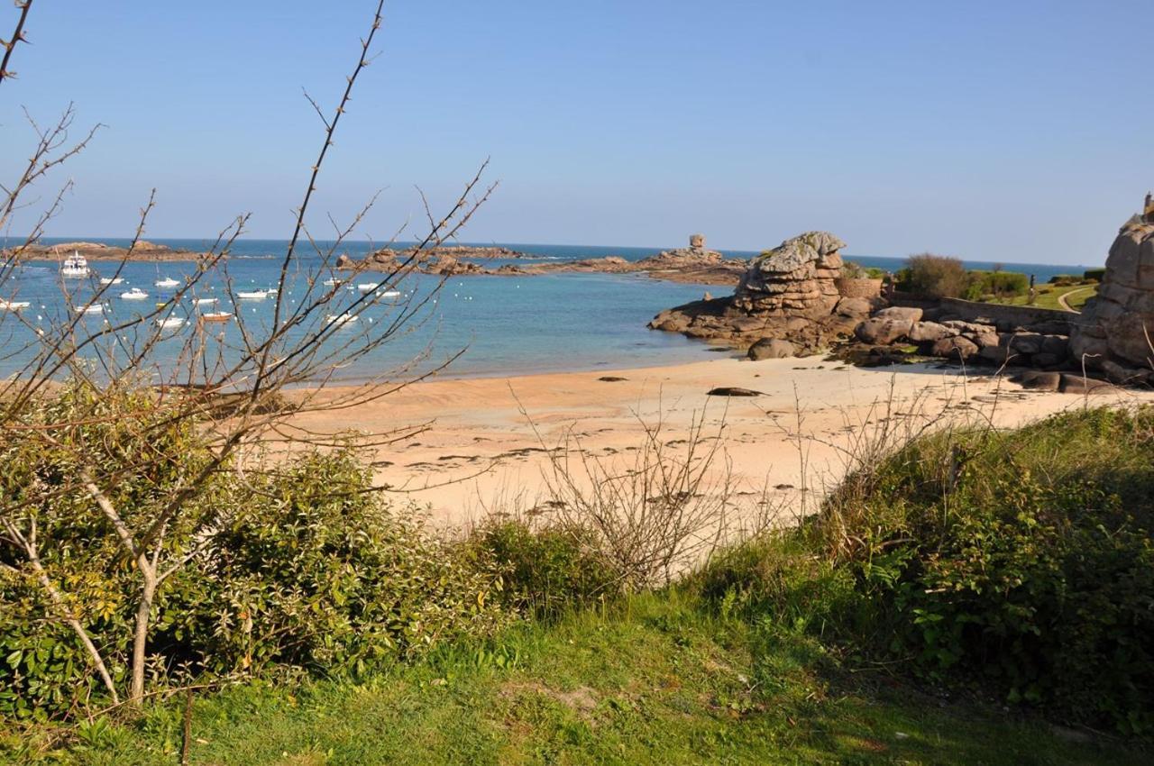 Superbe 4 Etoiles Avec Tres Belles Prestations Et Jardin Sur La Mer A - Ref 7 Villa
